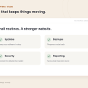 Illustrative WooCrafters care interface concept