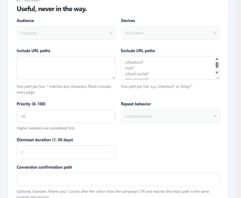 Promo Master audience, device and URL targeting controls.